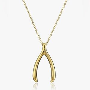 Gold tone wishbone necklace, NWOT